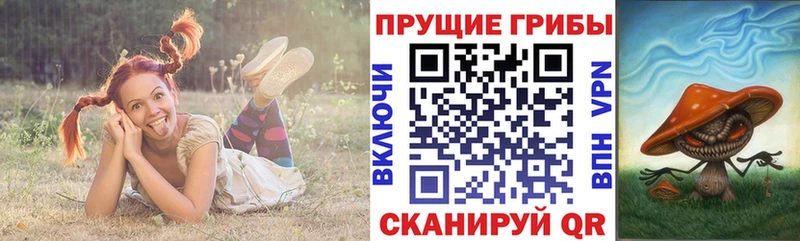 shop телеграм Электросталь Галлюциногенные грибы Cubensis