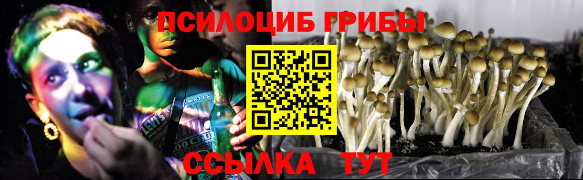 Электросталь  Галлюциногенные грибы ЛСД  Вход с VPN 